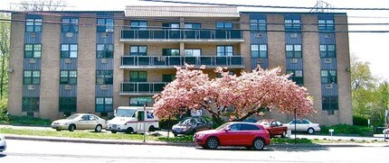 Newfield Terrace in Stamford, CT - Foto de edificio - Building Photo
