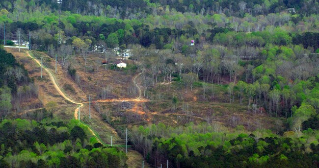 The Avemore Village in Villa Rica, GA - Building Photo - Primary Photo