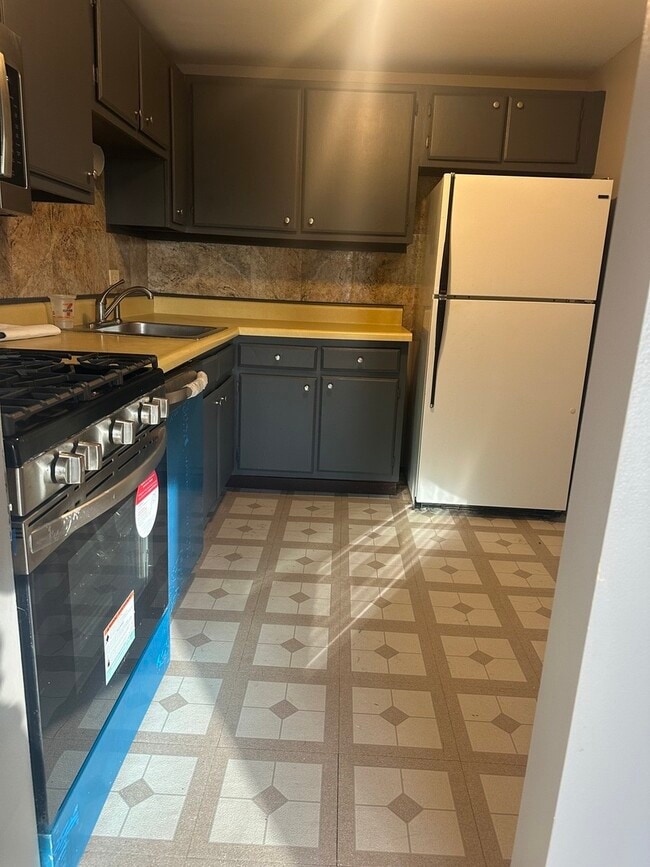 1463 Mercury Dr in Schaumburg, IL - Foto de edificio - Building Photo