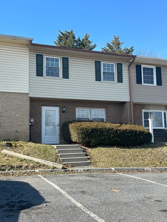 113 Ash Hollow Dr in Winchester, VA - Building Photo