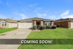 1012 Willow Tree Dr in McKinney, TX - Building Photo