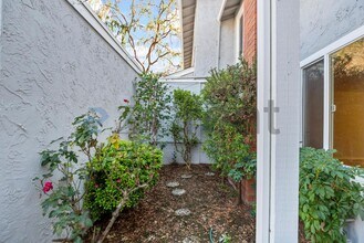 1123 Glengarry Dr in Walnut Creek, CA - Building Photo - Building Photo