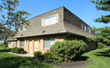 Cherryblossom Way in Reynoldsburg, OH - Building Photo - Building Photo