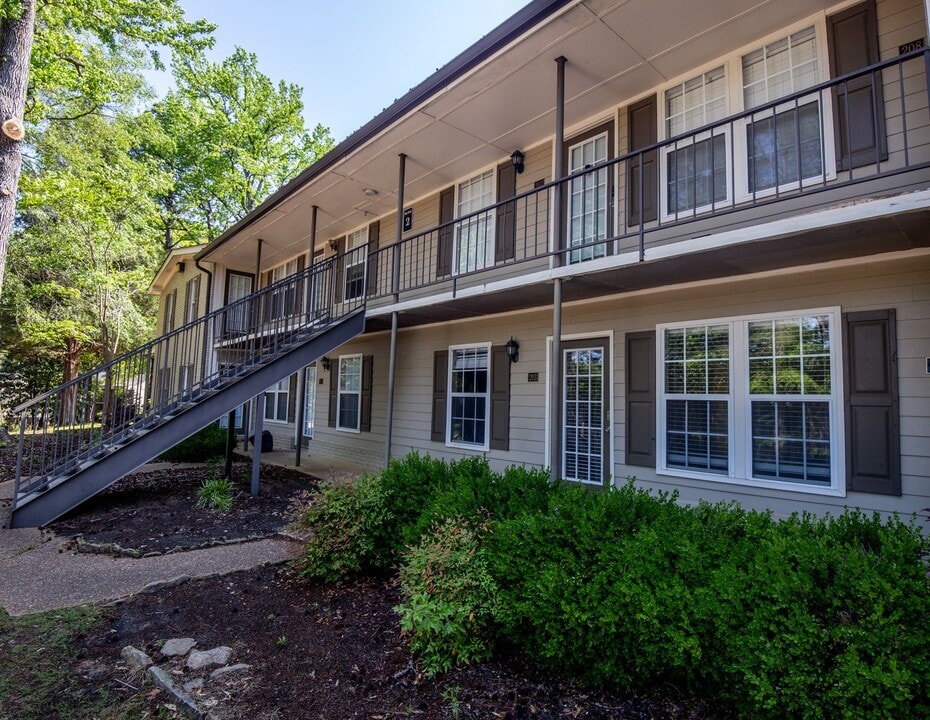 203 Park Lane in Oxford, MS - Building Photo