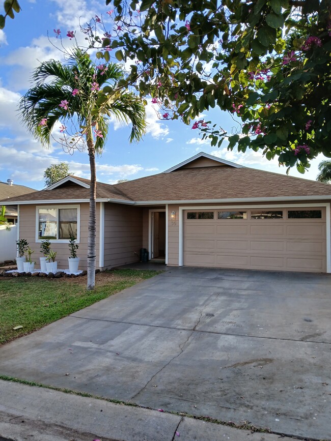 property at 35 Polale St