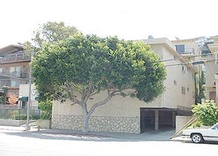 342 Culver Blvd, Unit 4 in Playa Del Rey, CA - Building Photo - Building Photo