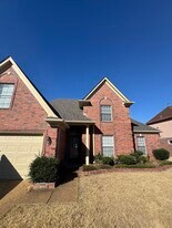 4929 Whitfall Cove S in Memphis, TN - Building Photo
