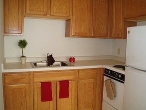 Marcy Park Student Housing Co-op in Minneapolis, MN - Building Photo - Building Photo