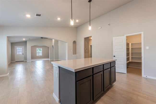 250 Eagleville Dr in Alvin, TX - Building Photo - Building Photo