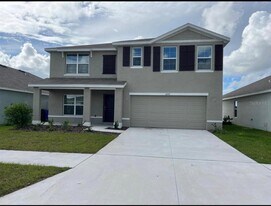 16767 Sunburst Lake St in Wimauma, FL - Building Photo