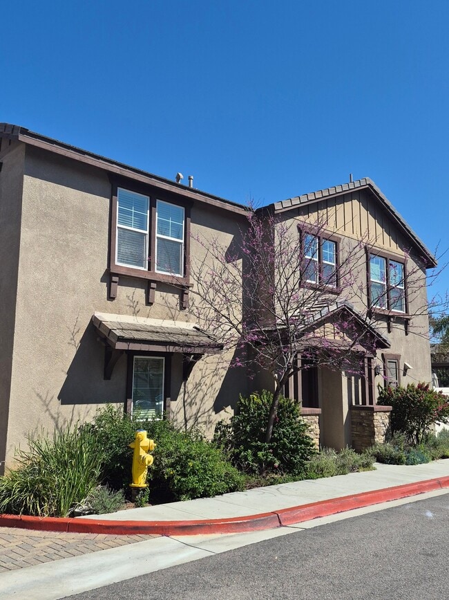 561 Moonlight Dr in San Marcos, CA - Building Photo - Building Photo