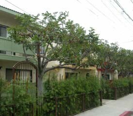 416 N Venice Blvd in Venice, CA - Building Photo