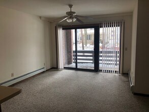421 W Doty St, Unit 1 in Madison, WI - Building Photo - Building Photo