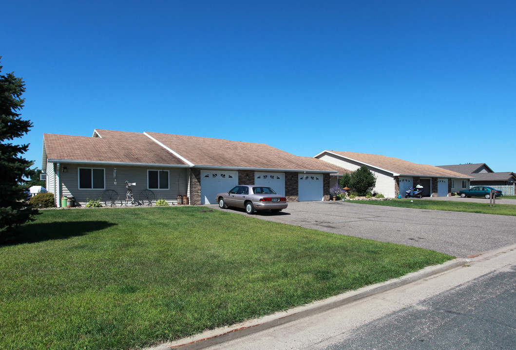 1439 Domain Dr in New Richmond, WI - Building Photo