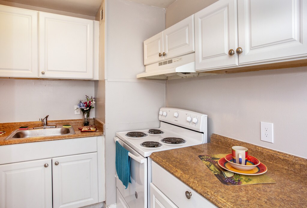 Timberfalls Tampa, FL Apartments