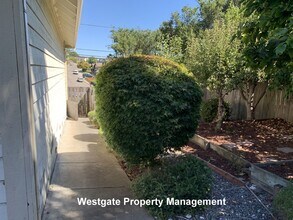 1160 Birch Dr in Petaluma, CA - Building Photo - Building Photo