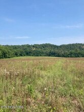 559 Snowflower Cir in Pigeon Forge, TN - Building Photo - Building Photo