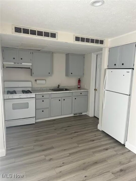 1651 Mentor Ave in Painesville, OH - Building Photo