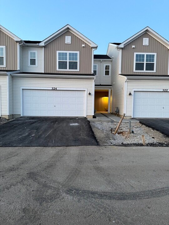 324 Kingsport Dr in South Elgin, IL - Building Photo
