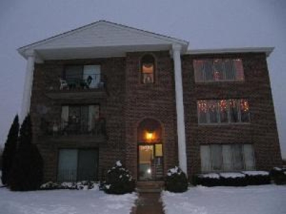 15705 Tiffany Dr in Orland Park, IL - Building Photo