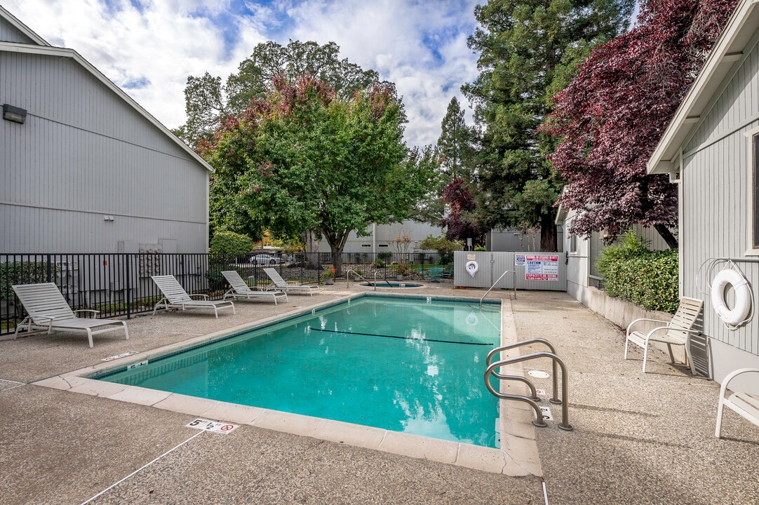 Springview Oaks Apartments in Rocklin, CA - Building Photo