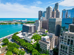 250 E Pearson St in Chicago, IL - Building Photo - Building Photo