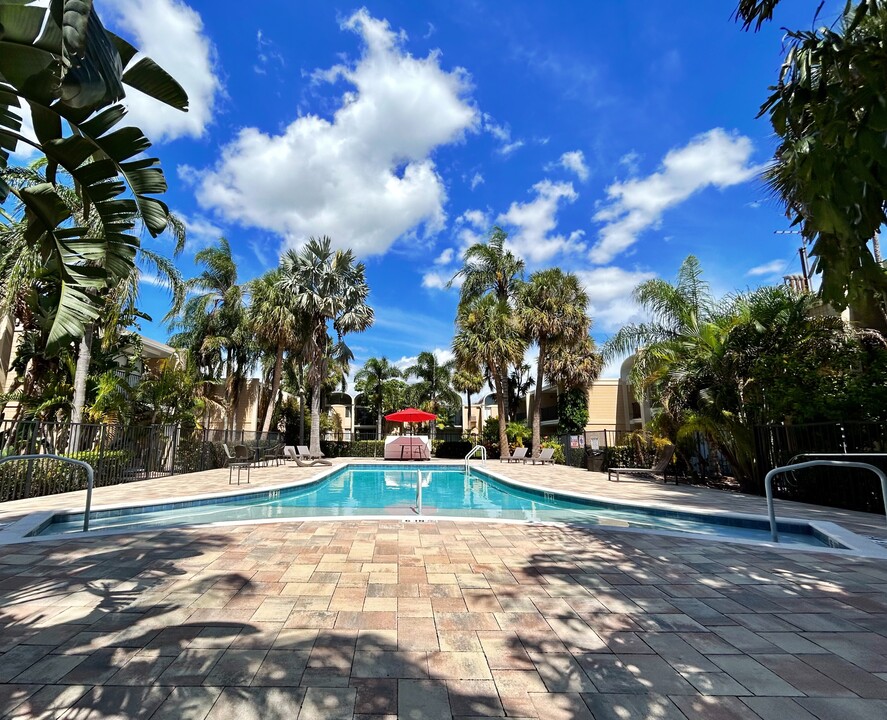 The Oasis Club in Tampa, FL - Foto de edificio