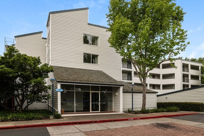 1207 Melville Square in Richmond, CA - Building Photo - Building Photo