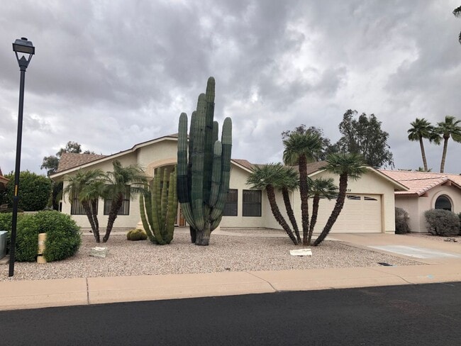 1439 Leisure World in Mesa, AZ - Building Photo - Building Photo