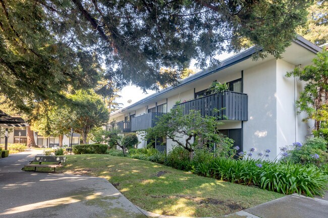 The Laurel at Mountain View (55+)