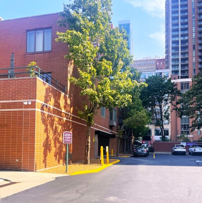 801 S Plymouth Ct in Chicago, IL - Building Photo - Building Photo