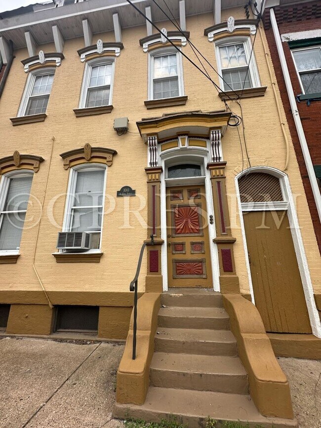 100 S 13th St in Pittsburgh, PA - Building Photo - Building Photo