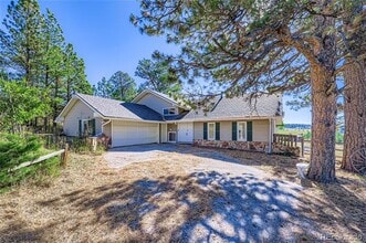 11218 Ponderosa Ln in Franktown, CO - Building Photo - Building Photo