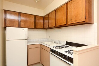 533 W Aldine Ave in Chicago, IL - Building Photo - Building Photo