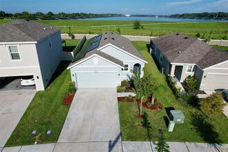 30833 Penny Surf Lp in Wesley Chapel, FL - Building Photo - Building Photo