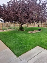 1153 W Buena Ventura Ct in Pueblo West, CO - Building Photo - Building Photo