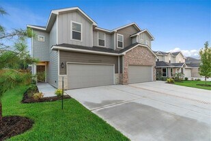 25172 Pacific Wren Dr in Magnolia, TX - Building Photo