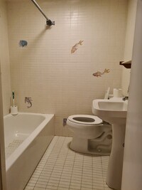 209 Spruce St, Unit Studio photo'