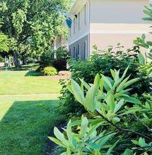 Double Tree Apartments in Lexington, KY - Foto de edificio - Building Photo