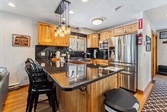 876 Broken Lance Dr in Breckenridge, CO - Building Photo - Building Photo