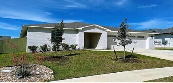 9712 Grapevine Leaf Dr in Manor, TX - Building Photo