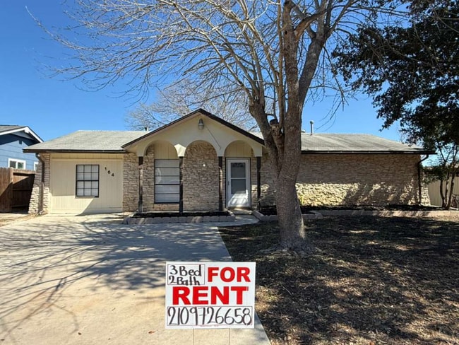 property at 164 Lost Forest St