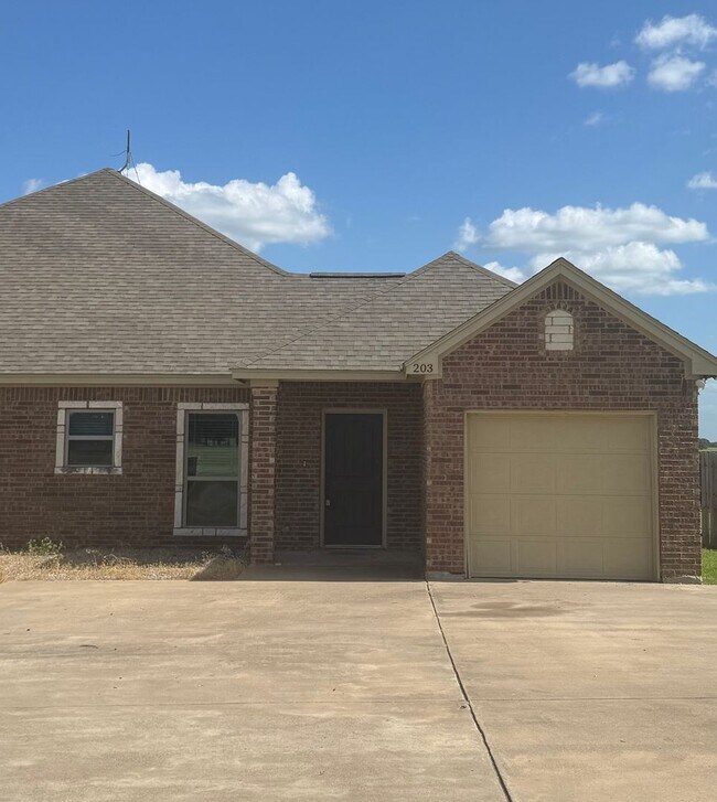 203 Walker Ln in Millsap, TX - Building Photo - Building Photo