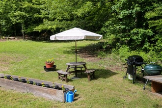 160 Stebbins Rd in Otis, MA - Building Photo - Building Photo