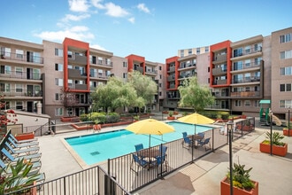 Piedmont in Oakland, CA - Building Photo - Building Photo