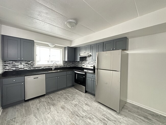 1408 Carol St in Park Ridge, IL - Foto de edificio - Building Photo