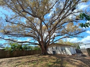 3624 W Anderson Ave in Tampa, FL - Foto de edificio - Building Photo
