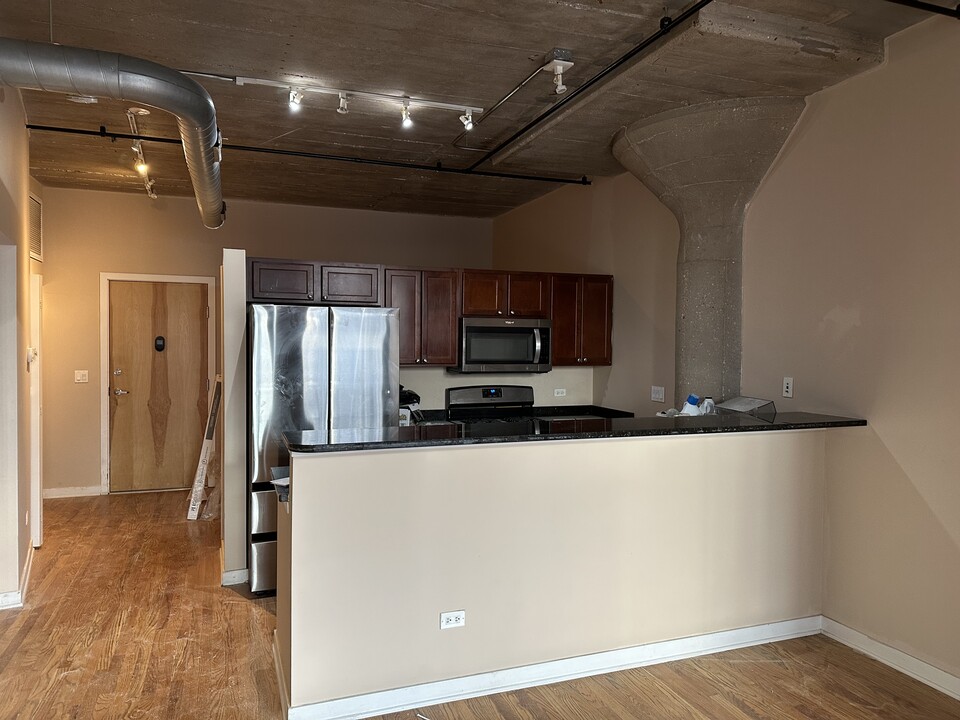 1150 W 15th St, Unit 207 in Chicago, IL - Building Photo