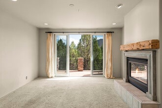 306 Wild Spring Ln in Basalt, CO - Building Photo - Building Photo