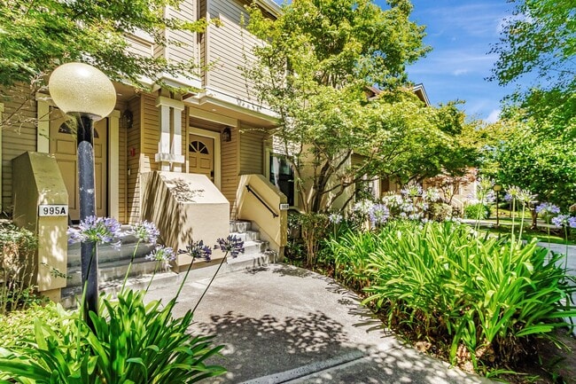 property at 991 La Mesa Terrace